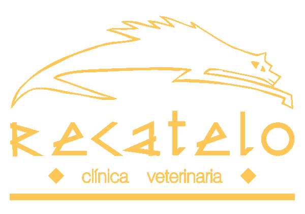 Clínica veterinaria Recatelo