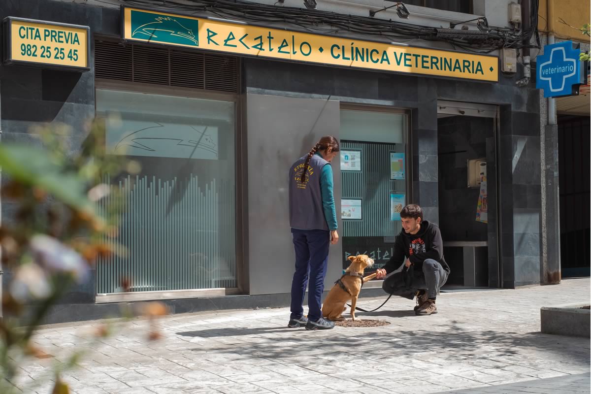 Clinica Veterinaria Recatelo