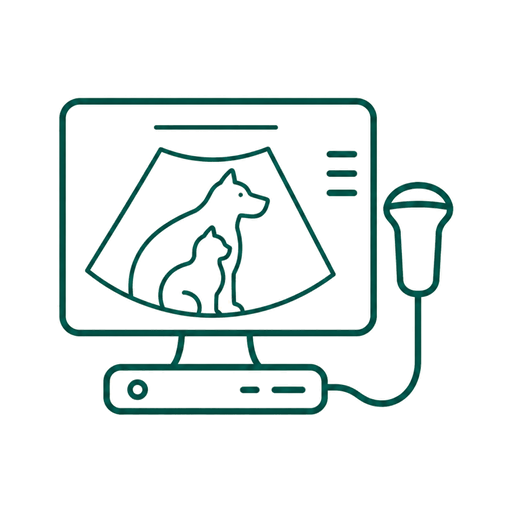 Diagnostico Por Imagen De Tus Mascotas