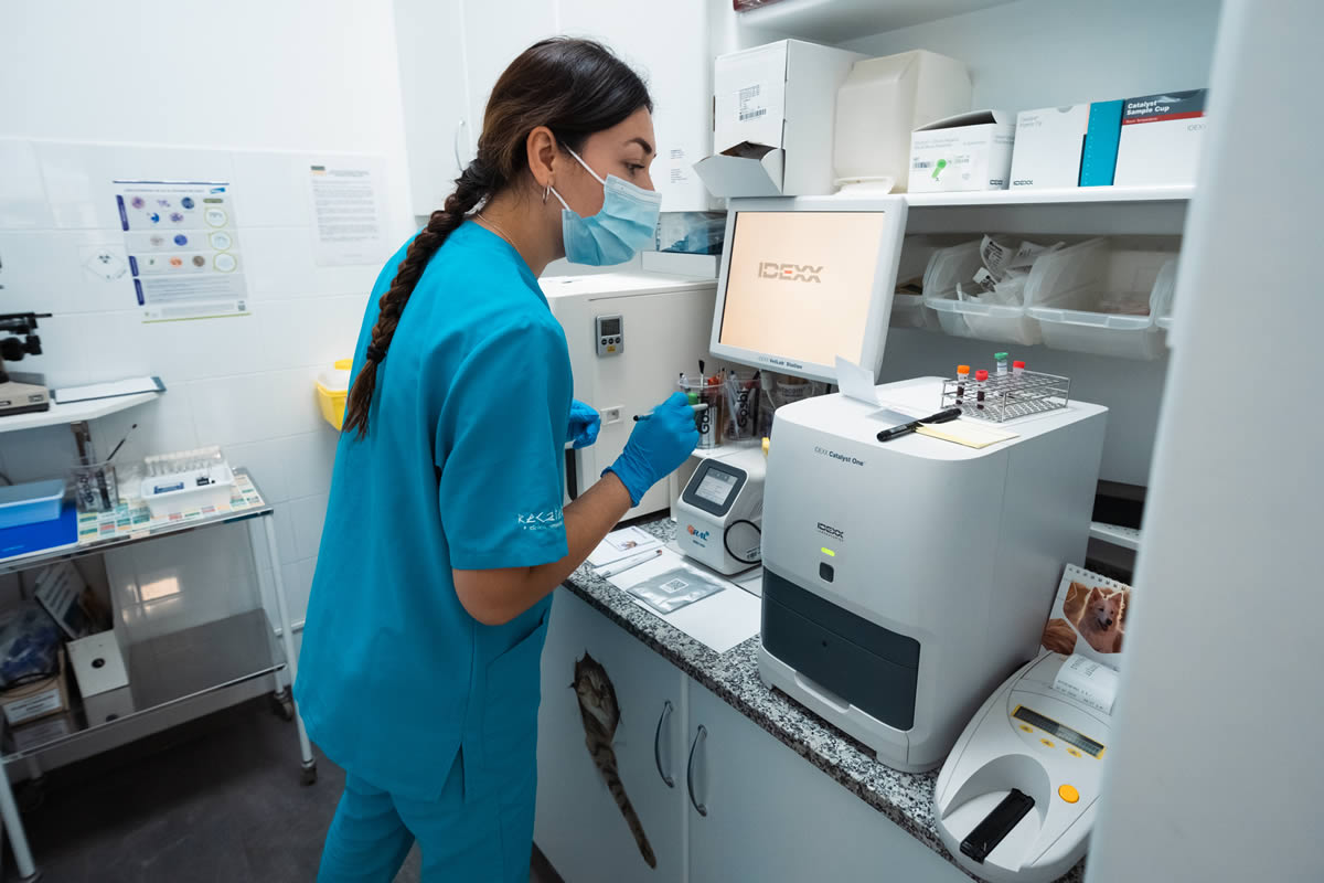Laboratorio Propio