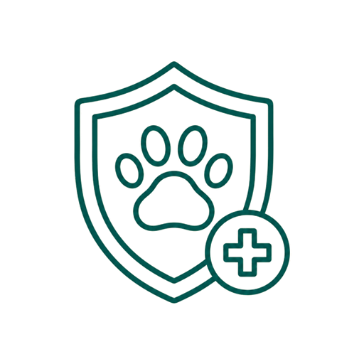 Medicina Interna Para Mascotas