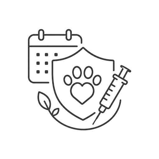 Plan Basico